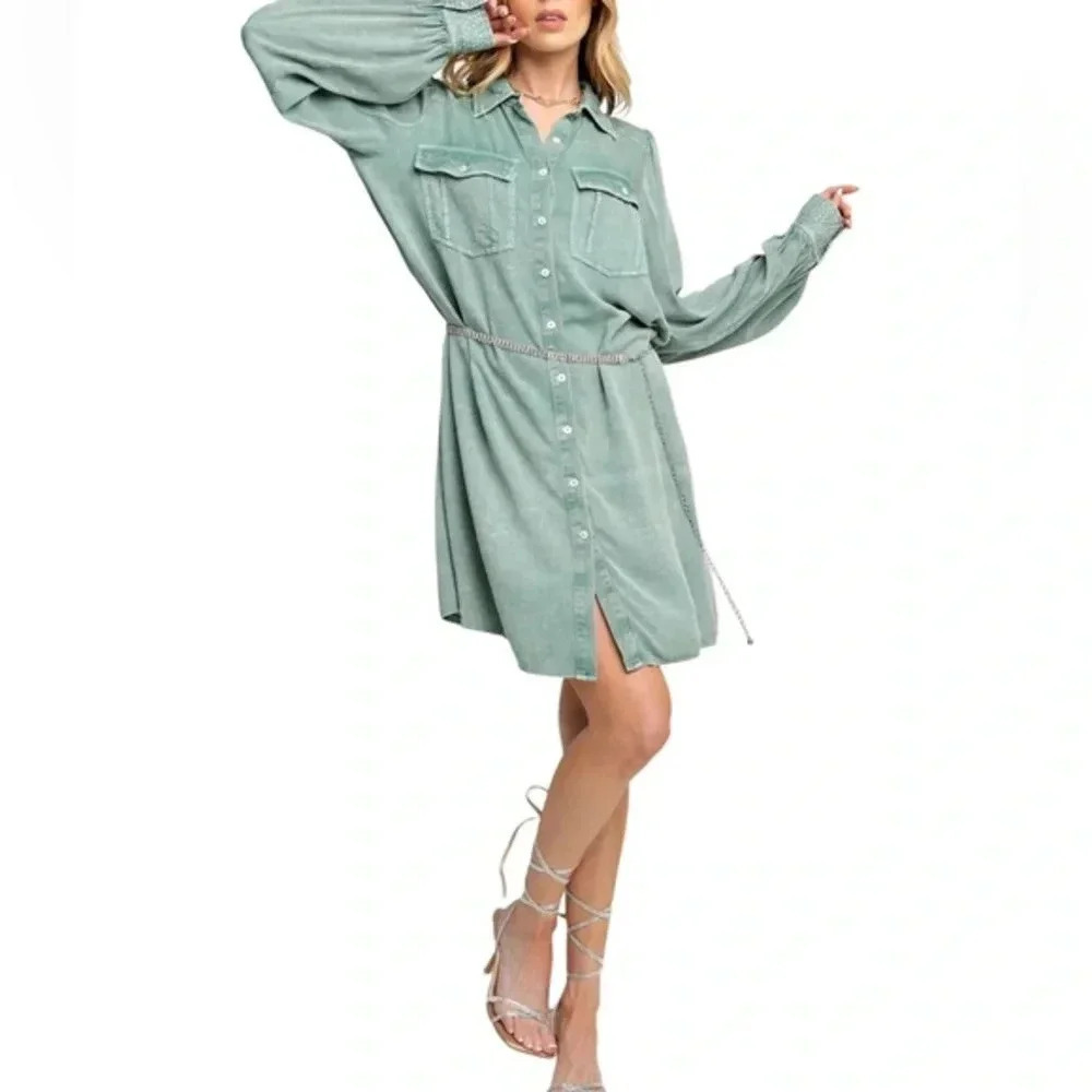 Easel shirt Dress NWT